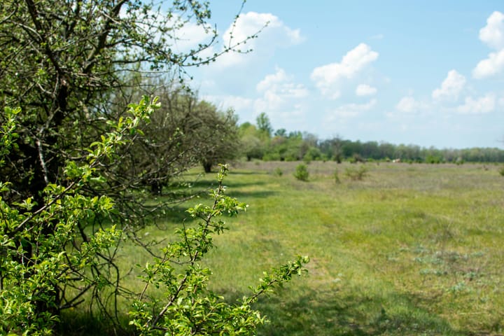 Foto 5 van Lambalgseweg