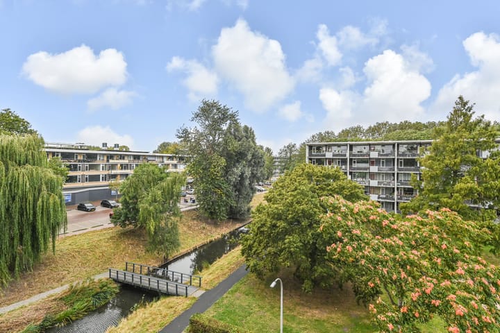 Photo 8 of Schaepmanlaan 31