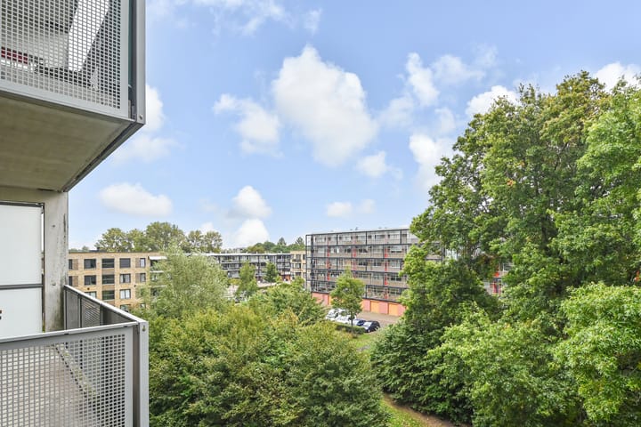 Photo 23 of Schaepmanlaan 31