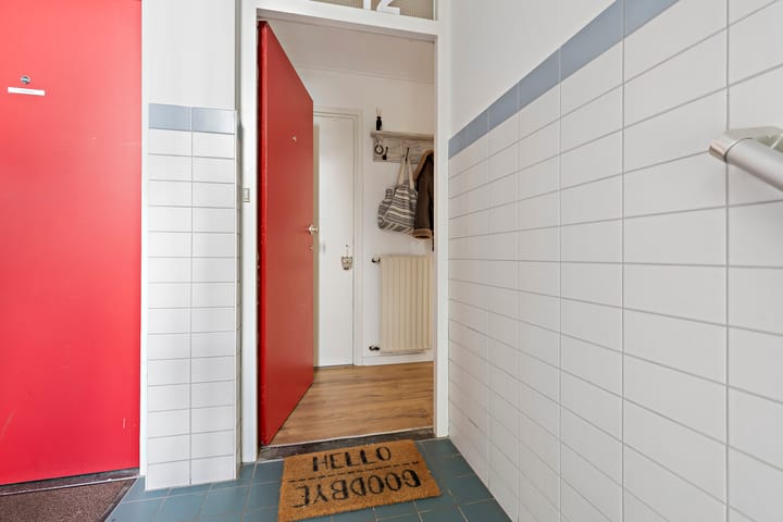 Foto 7 van Meeuwenstraat 12