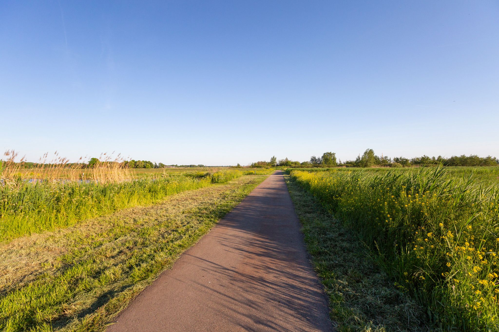 Foto 48 van Straat van Ormoes 91