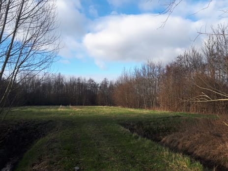 Foto van Boskamers Boseilanden Zuid  undefined