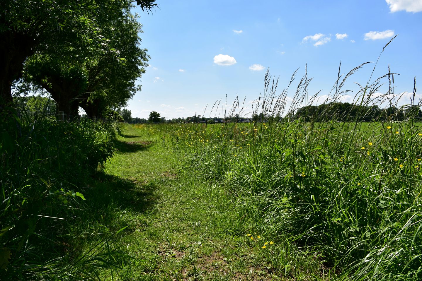 Foto 4 van Lambalgseweg