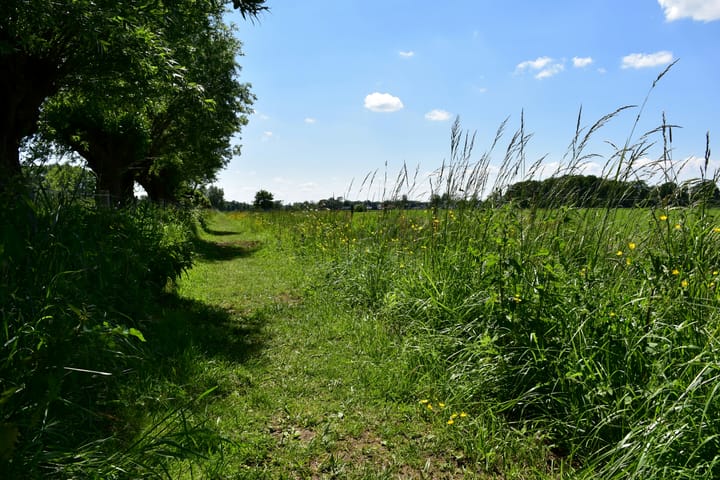 Foto 4 van Lambalgseweg