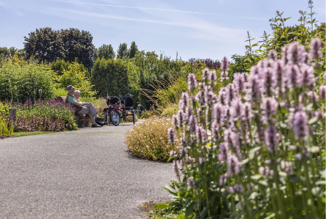 Photo 37 of Simon Carmiggeltplantsoen 7