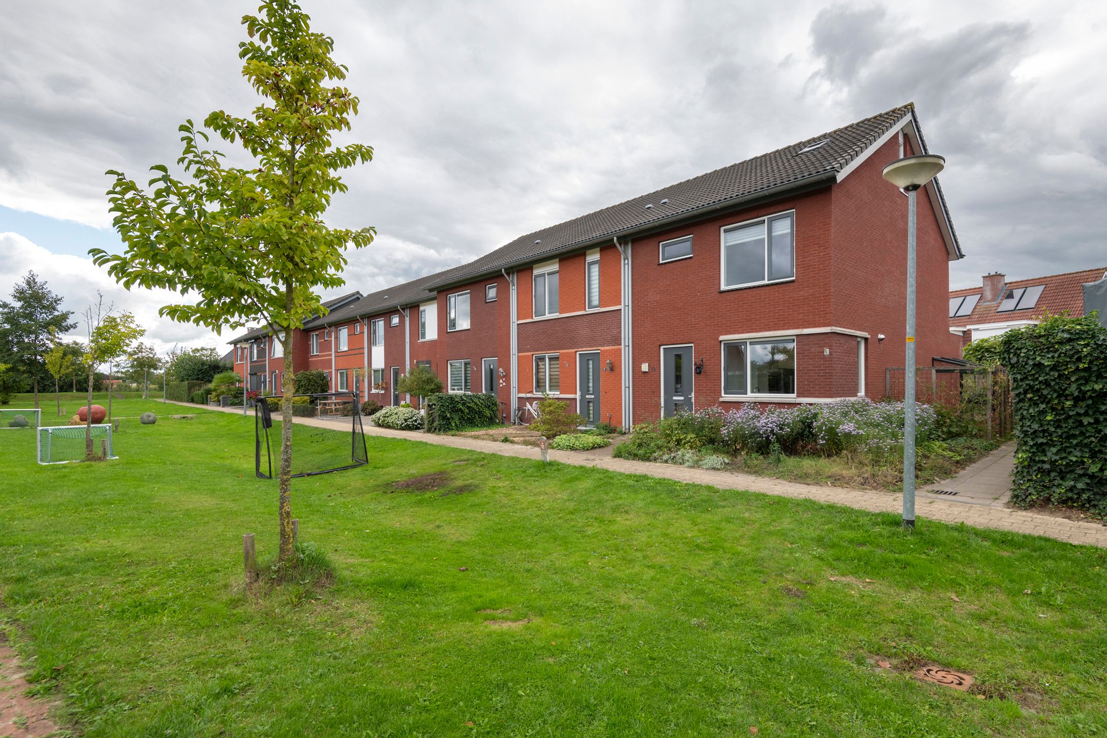 Goudreinette, 19, Buren (GE), 4116HG, Gelderland, Nederland 19 