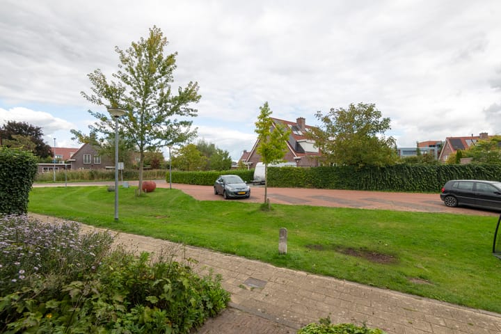 Foto 16 van Goudreinette 19