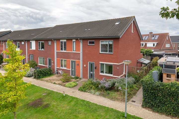 Foto 17 van Goudreinette 19