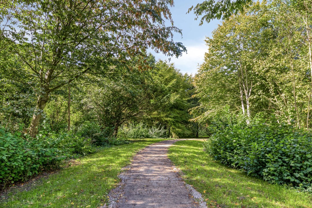 Photo 37 of Ananasstraat 6