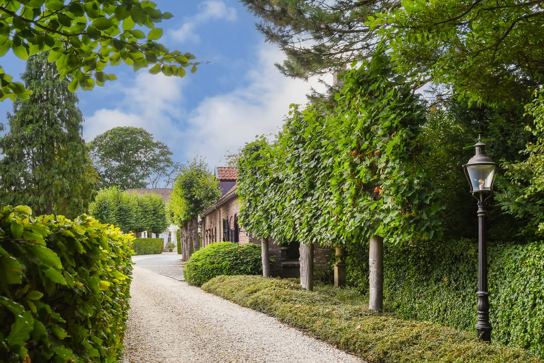 Foto 7 van Koelderstraat 21