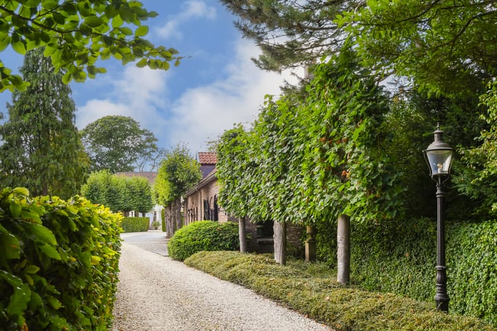 Foto 7 van Koelderstraat 21