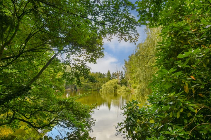 Foto 9 van Koelderstraat 21