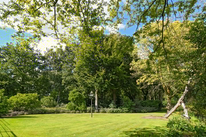 Foto 77 van Koelderstraat 21