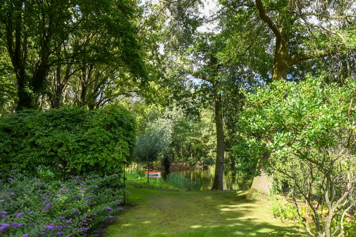 Foto 78 van Koelderstraat 21