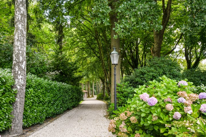 Foto 83 van Koelderstraat 21