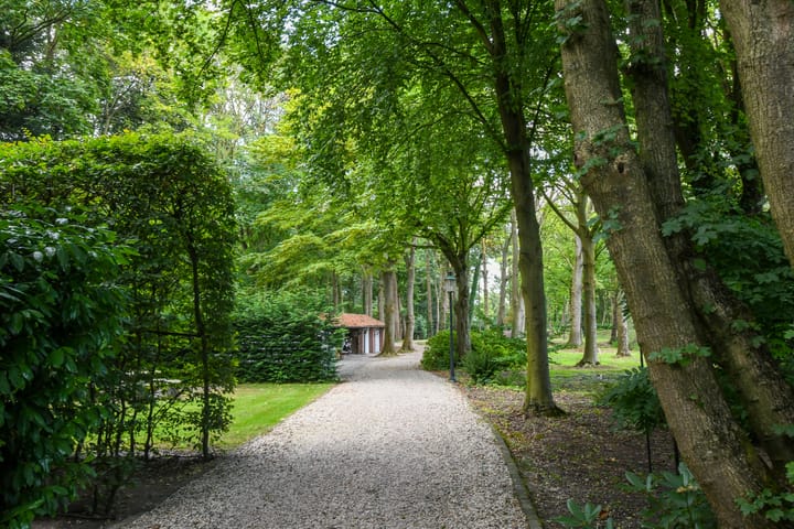 Foto 84 van Koelderstraat 21