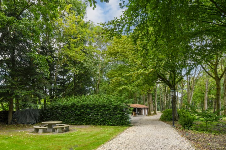 Foto 85 van Koelderstraat 21