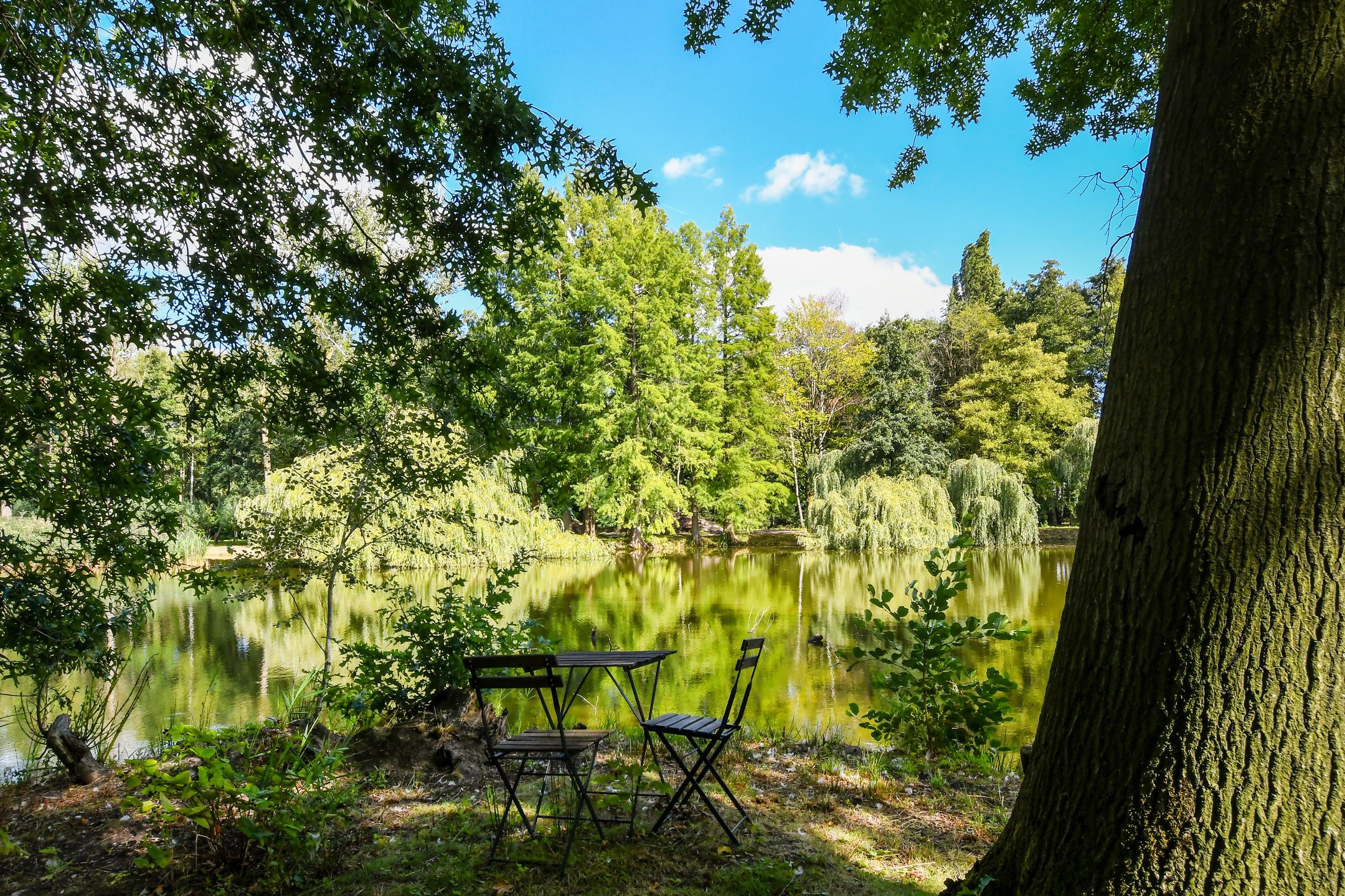 Foto 87 van Koelderstraat 21