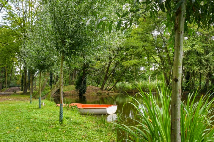 Foto 88 van Koelderstraat 21