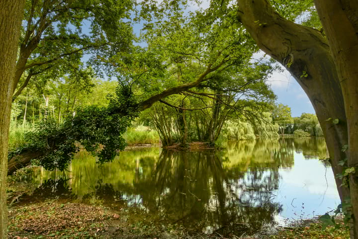 Foto 90 van Koelderstraat 21