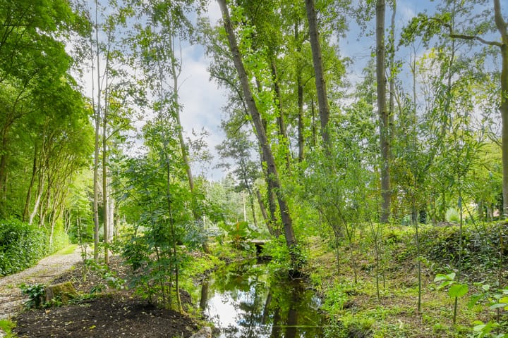 Foto 91 van Koelderstraat 21