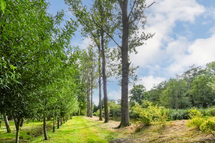 Foto 93 van Koelderstraat 21