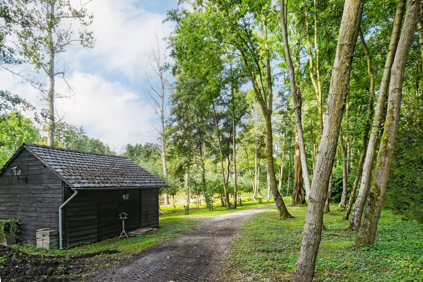 Foto 95 van Koelderstraat 21