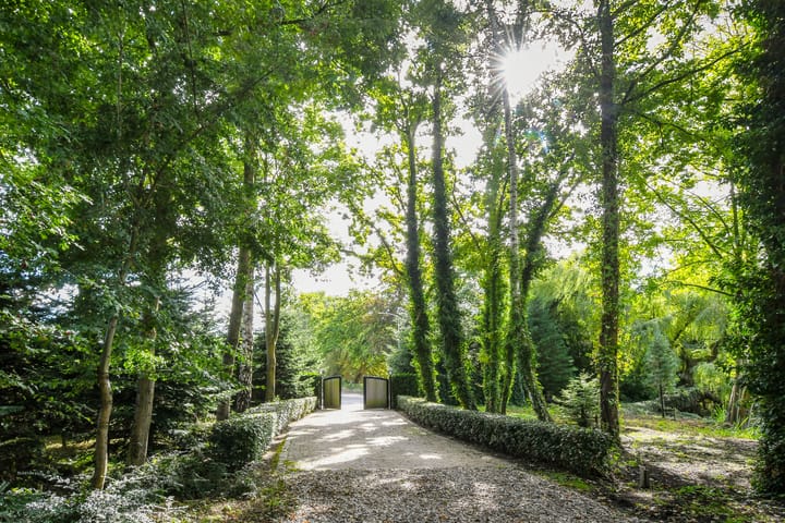 Foto 96 van Koelderstraat 21