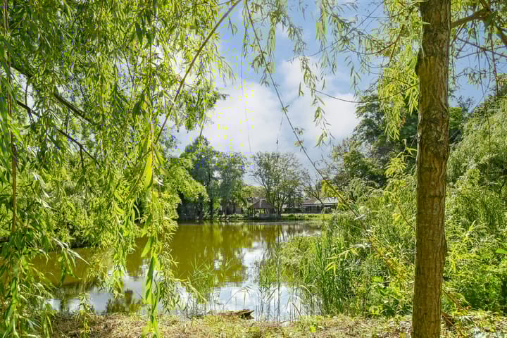 Foto 97 van Koelderstraat 21