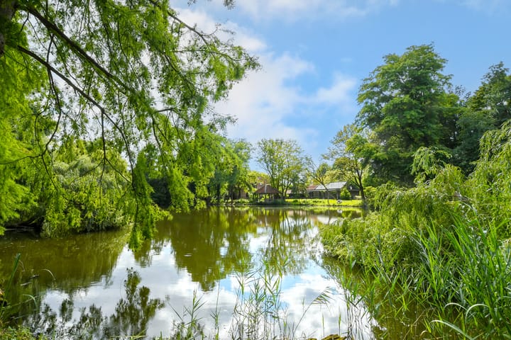 Foto 98 van Koelderstraat 21