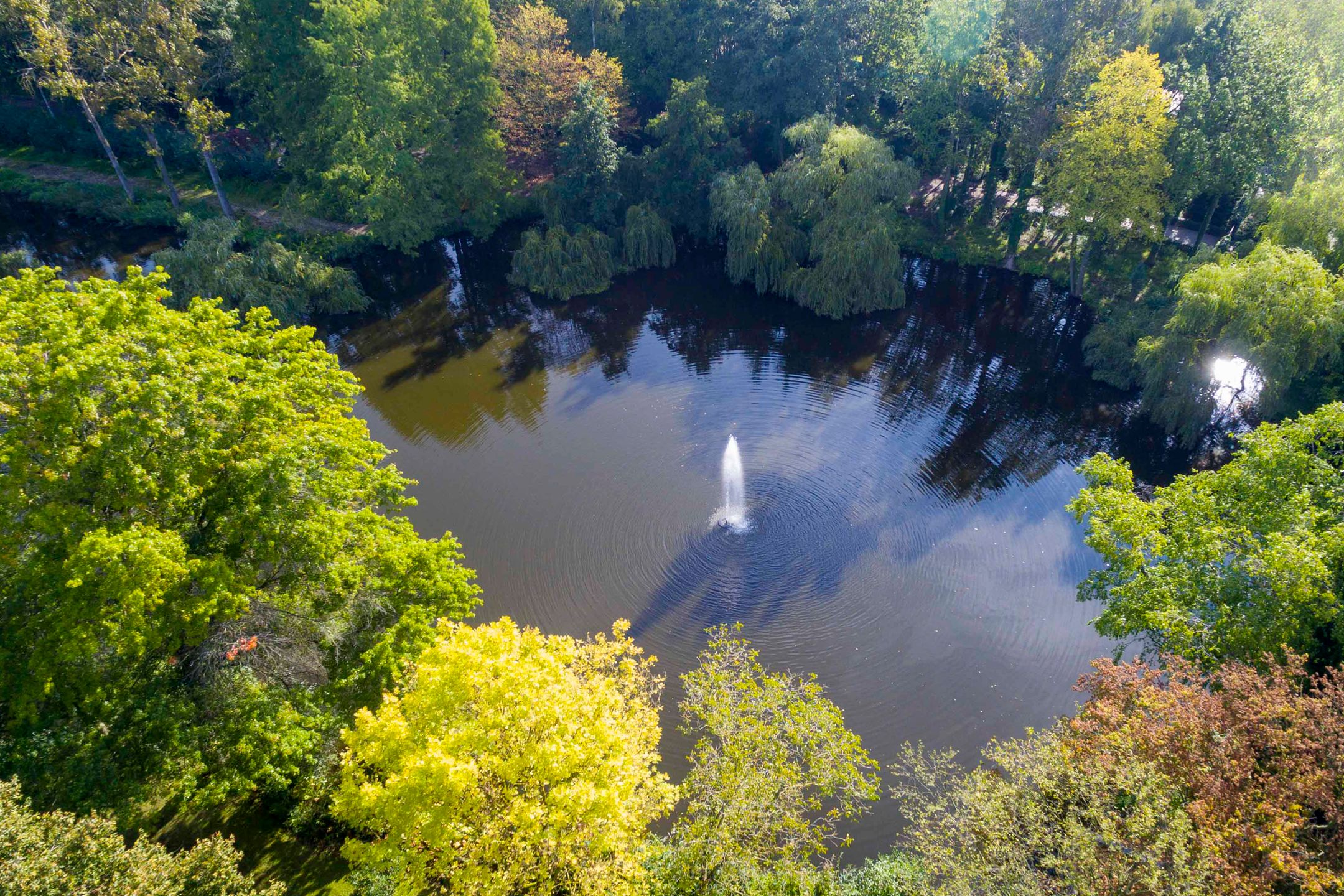 Foto 102 van Koelderstraat 21