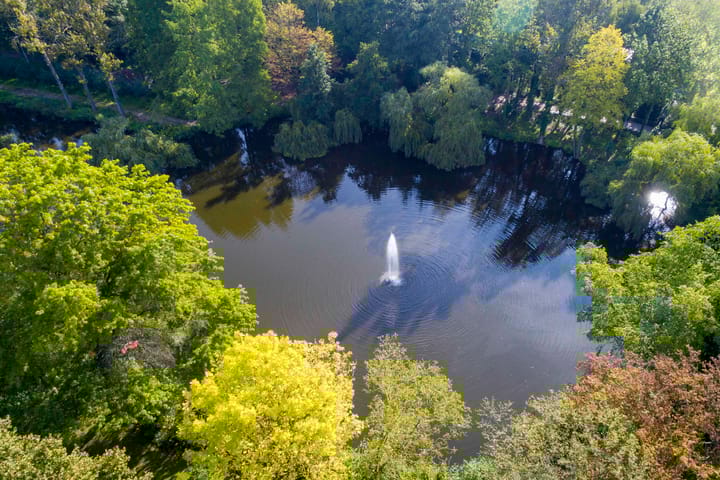 Foto 102 van Koelderstraat 21