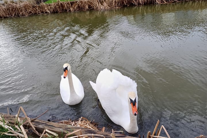 Foto 30 van Lijsbeth Tijsweg 7-40