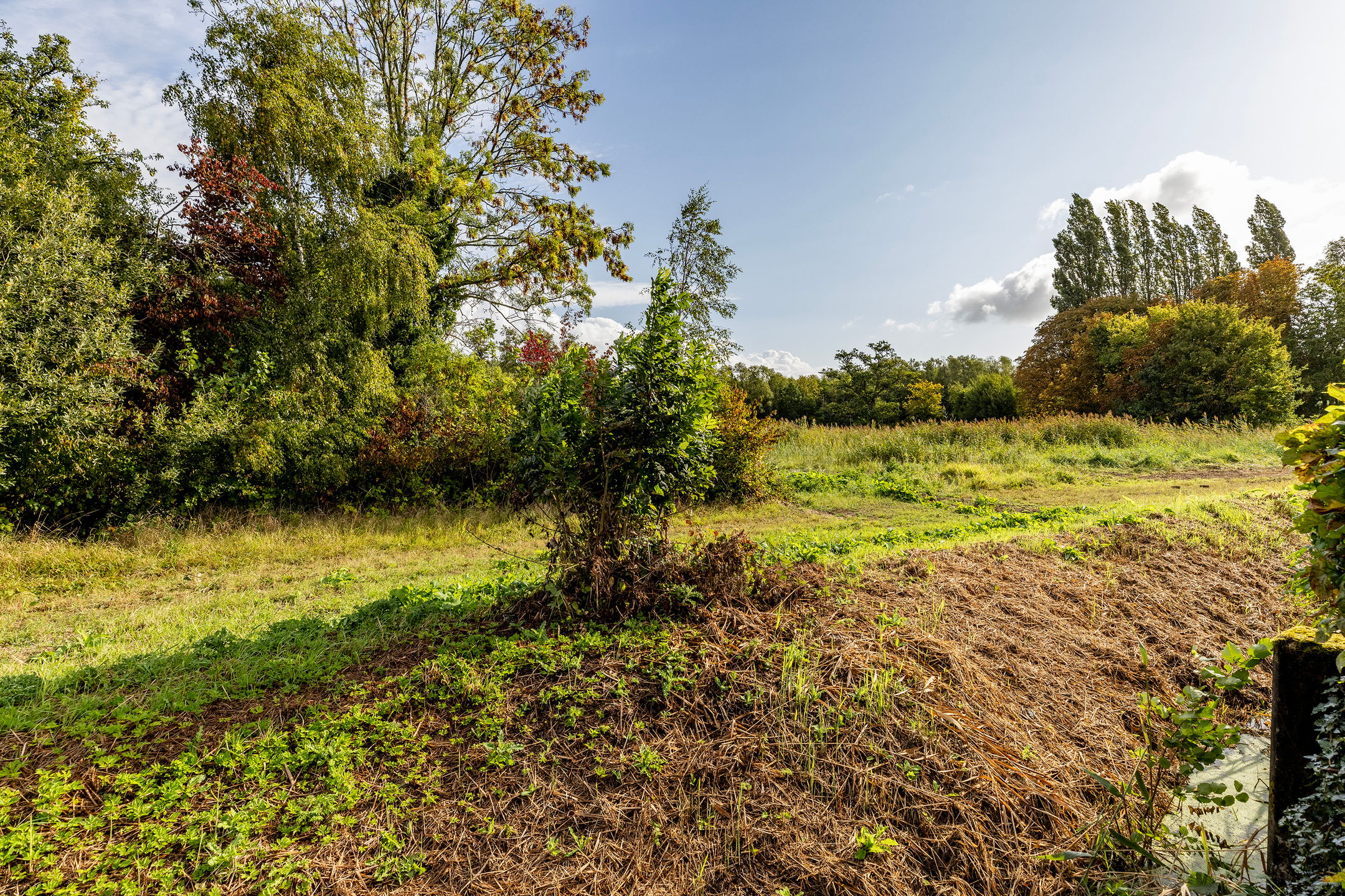 Foto 39 van Hoogvlietsekerkweg 64