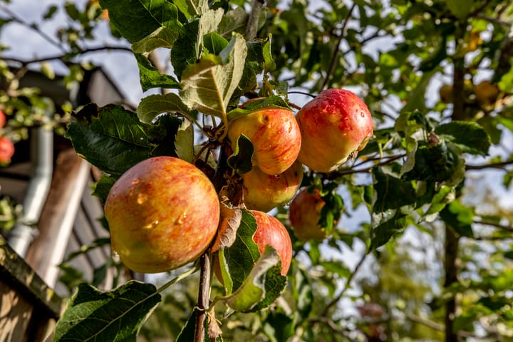 Foto 38 van Hoogvlietsekerkweg 64