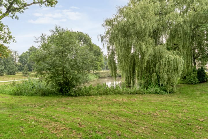 Foto 39 van Reigerstraat 41