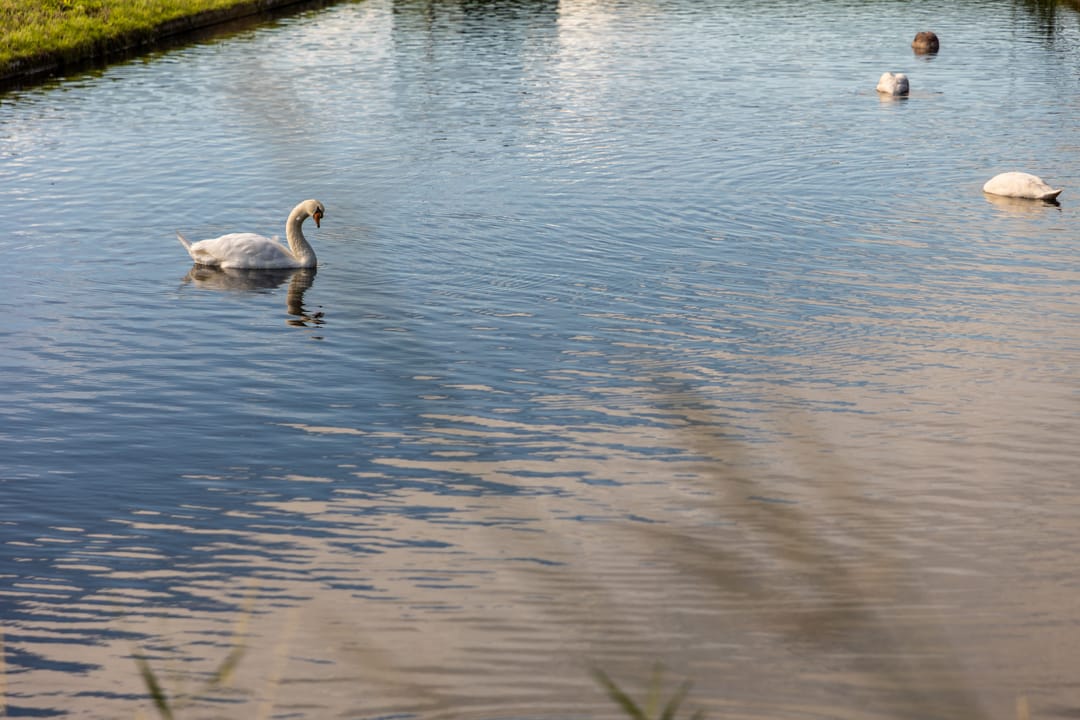 Foto 43 van Pensionaris 6