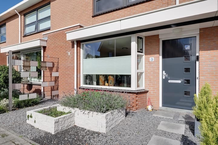 Photo 3 of Zomertaling 3