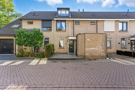 undefined main image