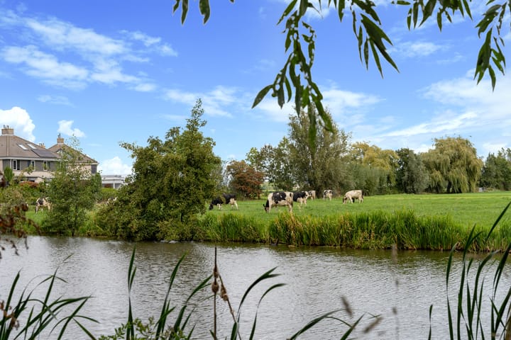 Foto 4 van Waterviolier 110