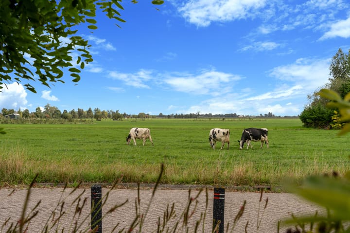 Foto 16 van Waterviolier 110