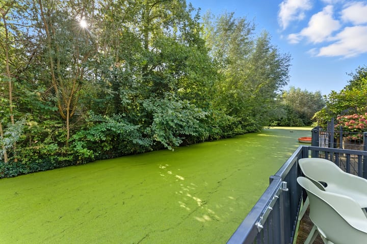 Foto 41 van Willem Dreeshof 29