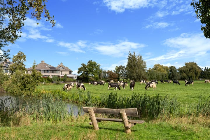 Foto 41 van Waterviolier 110