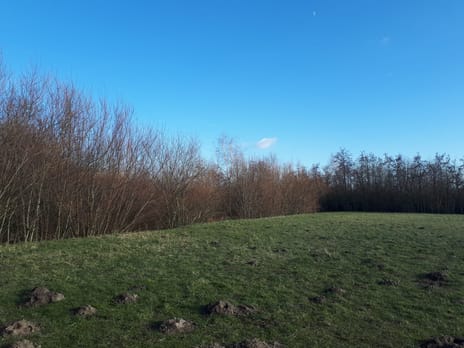 Kavels Boseilanden Zuid main image