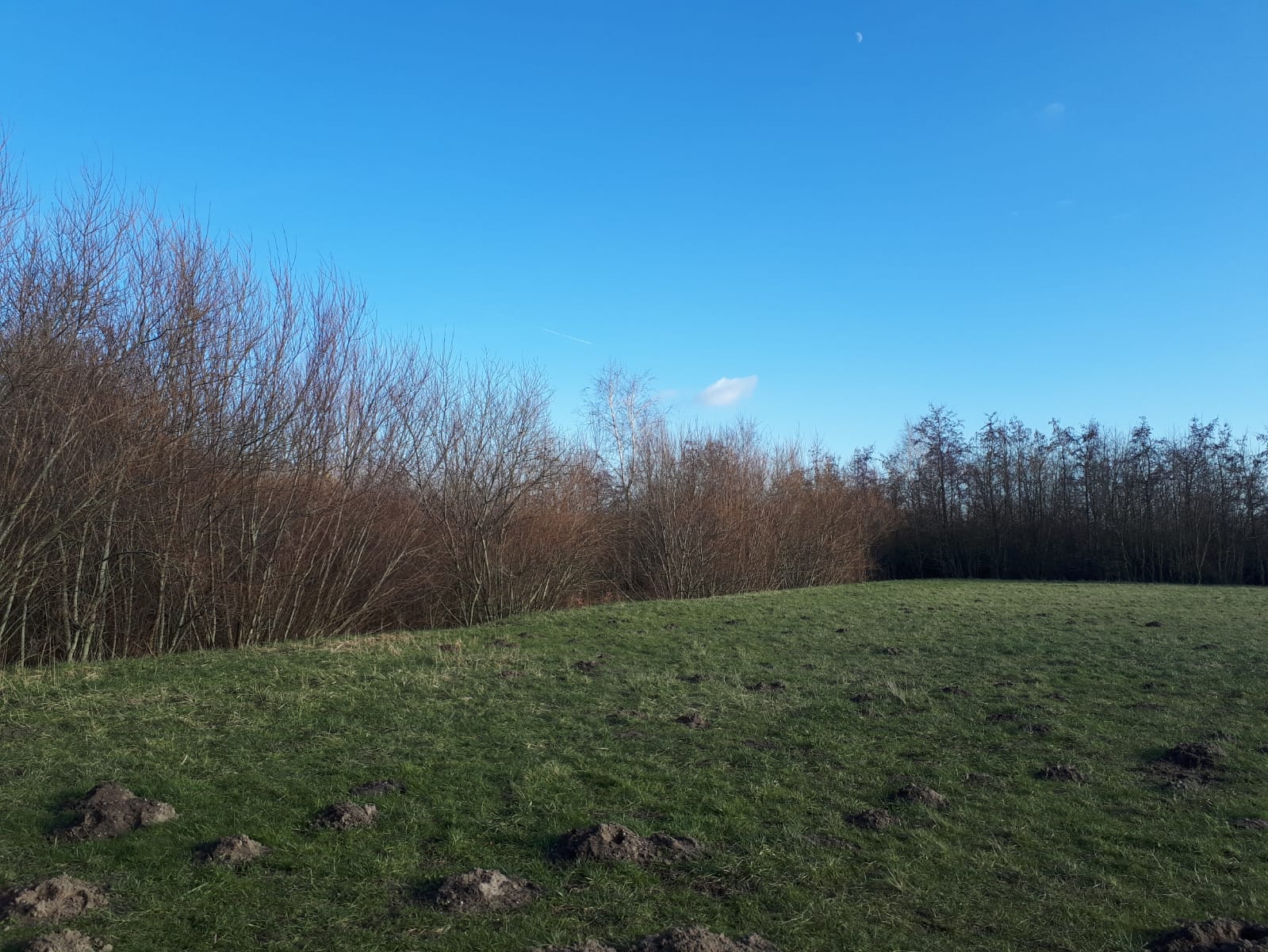 Laan van Westerhout kavel 14 (Bouwnr. 14) false