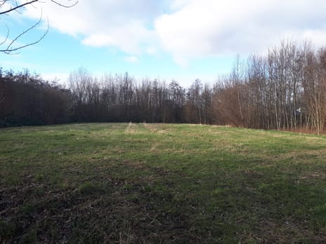 Kavels Boseilanden Zuid main image