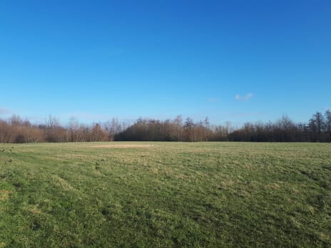 Kavels Boseilanden Zuid main image