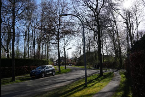 undefined main image