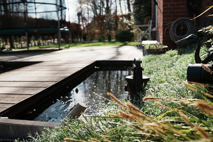 Foto 5 van Boswinde 135