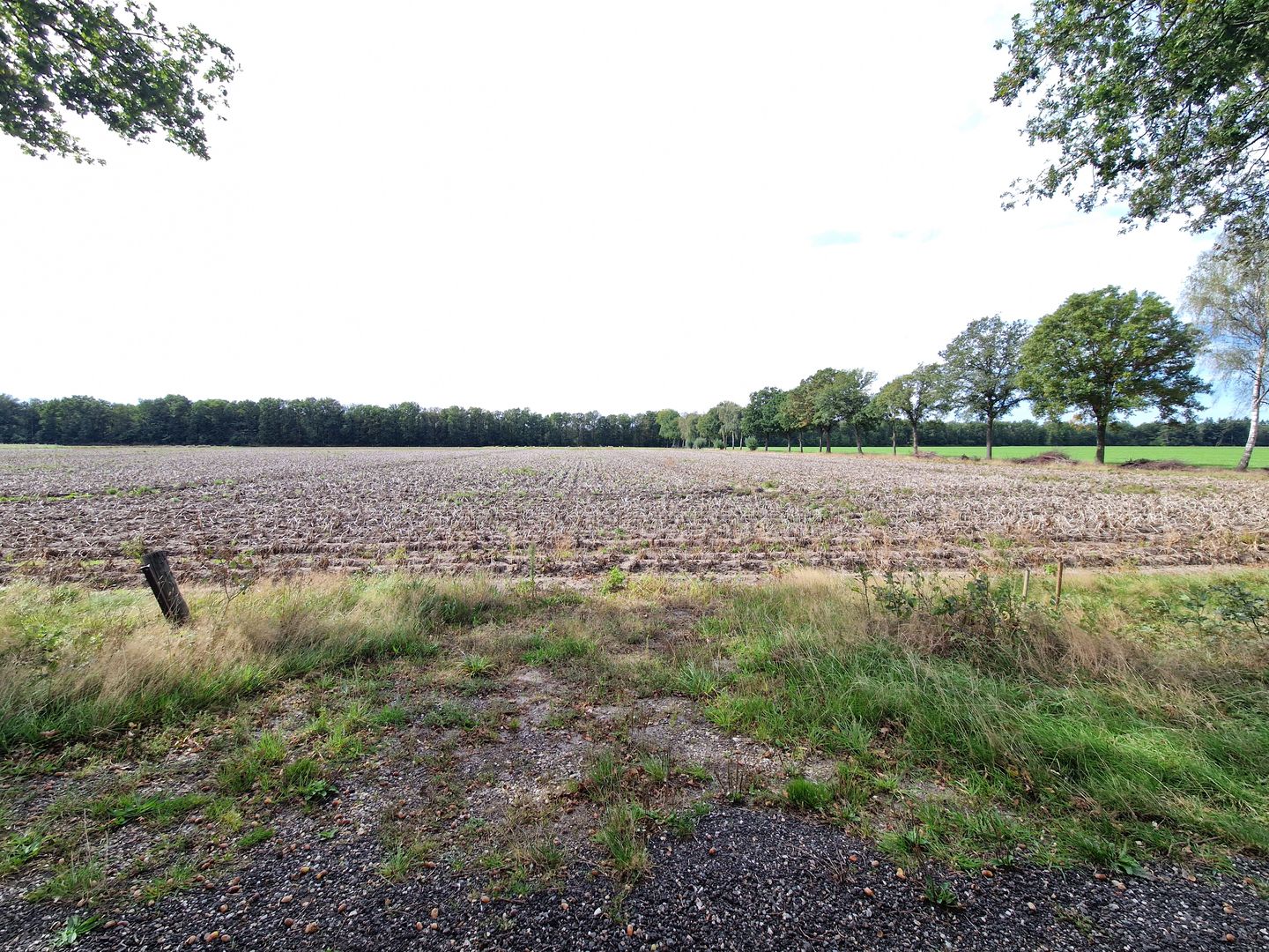 View photo 4 of Pastoor Jacobspeel